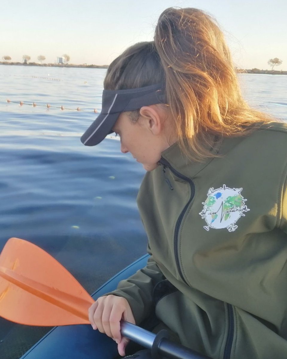 Asociaciones como FauNatura juegan un papel crucial en la protección del medio ambiente. 
<a href="/proyectomastral/">Proyecto Mastral</a>
<a href="/torreviejaayto/">Ayuntamiento de Torrevieja</a>
<a href="/torreviejaturis/">TurismodeTorrevieja</a>
<a href="/torreviejaua/">TorreviejaUA</a>