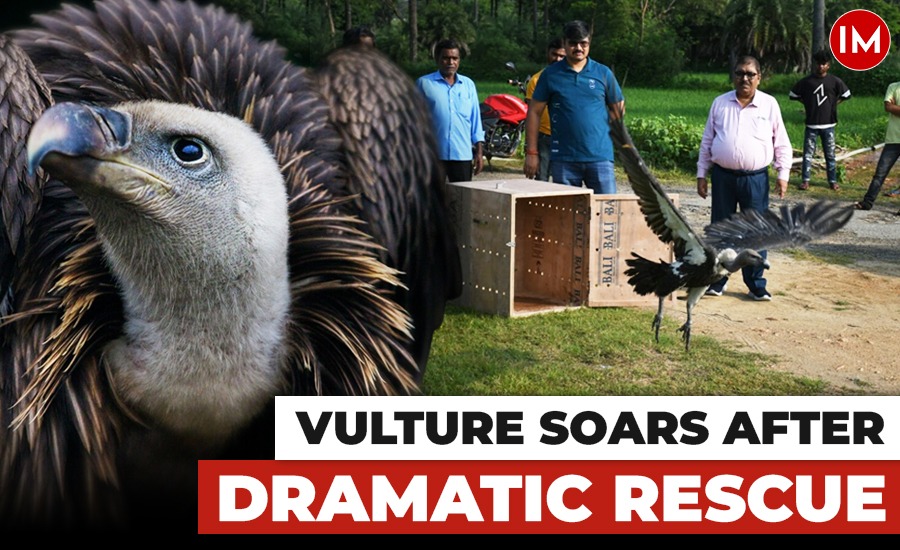 Indian Masterminds tweet media