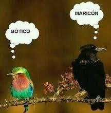 sociedad