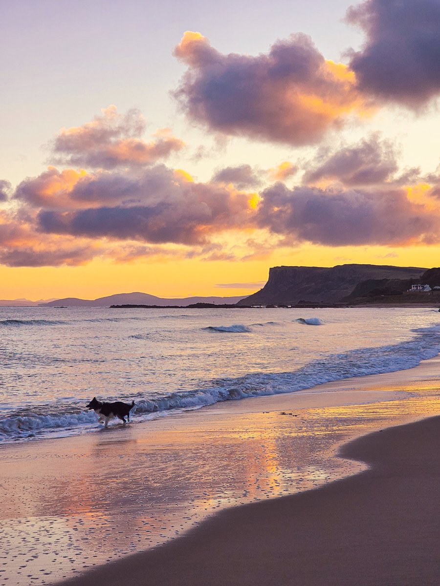 McginnNicole's tweet photo. Early morning dips for this wee fellow 🐕🌞#northcoast #visitcauseway #causewaycoast #photography #beautiful #NorthernIreland #ballycastle https://t.co/fopVyylOVl