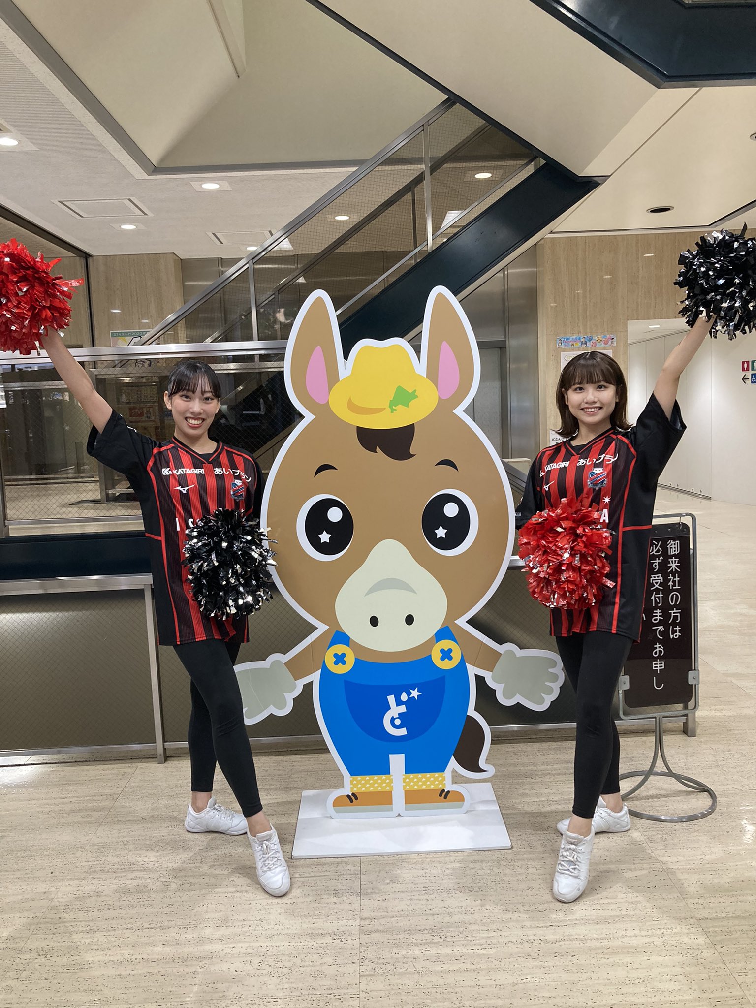 ともこさん PW-momoko：Close-Clipped Sheep