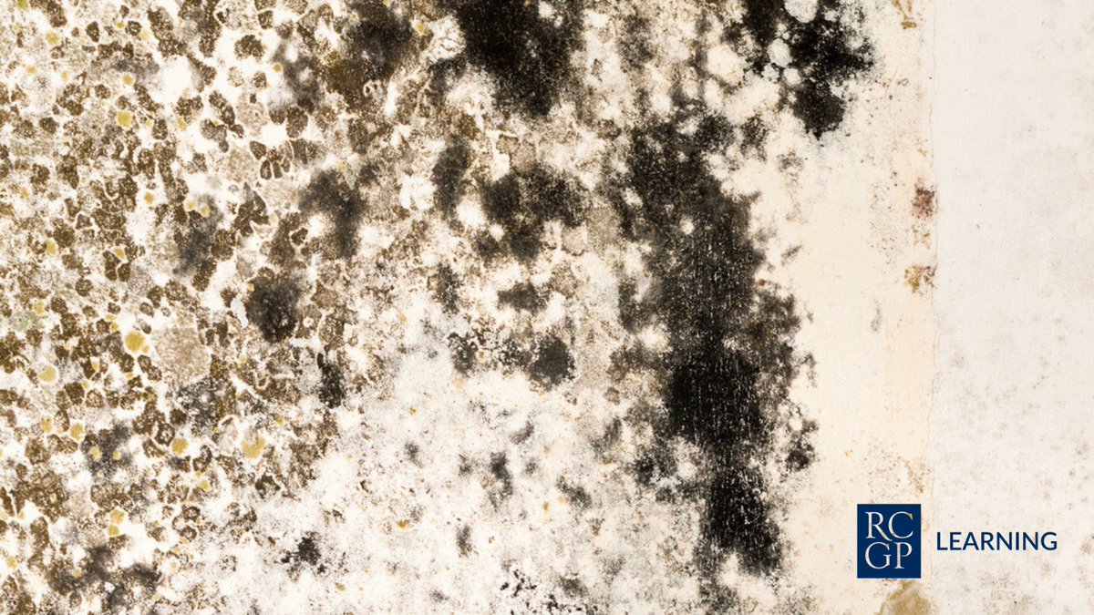 rcgp's tweet photo. In honour of #WorldLungDay, explore our new eLearning module on Aspergillus-related conditions. Topics include high-risk patient groups, management of non-pulmonary aspergillosis in primary care, and more.

Take the course. ➡️ https://t.co/4zScuO7AHk
#GetUpToDate #RCGPLearning https://t.co/M4uhMlHewH