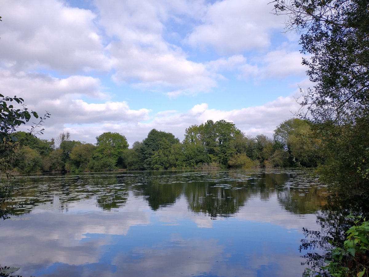 sean271289's tweet photo. A couple of pictures form my fishing session yesterday but no fish were caught. https://t.co/HGmqblmGKT