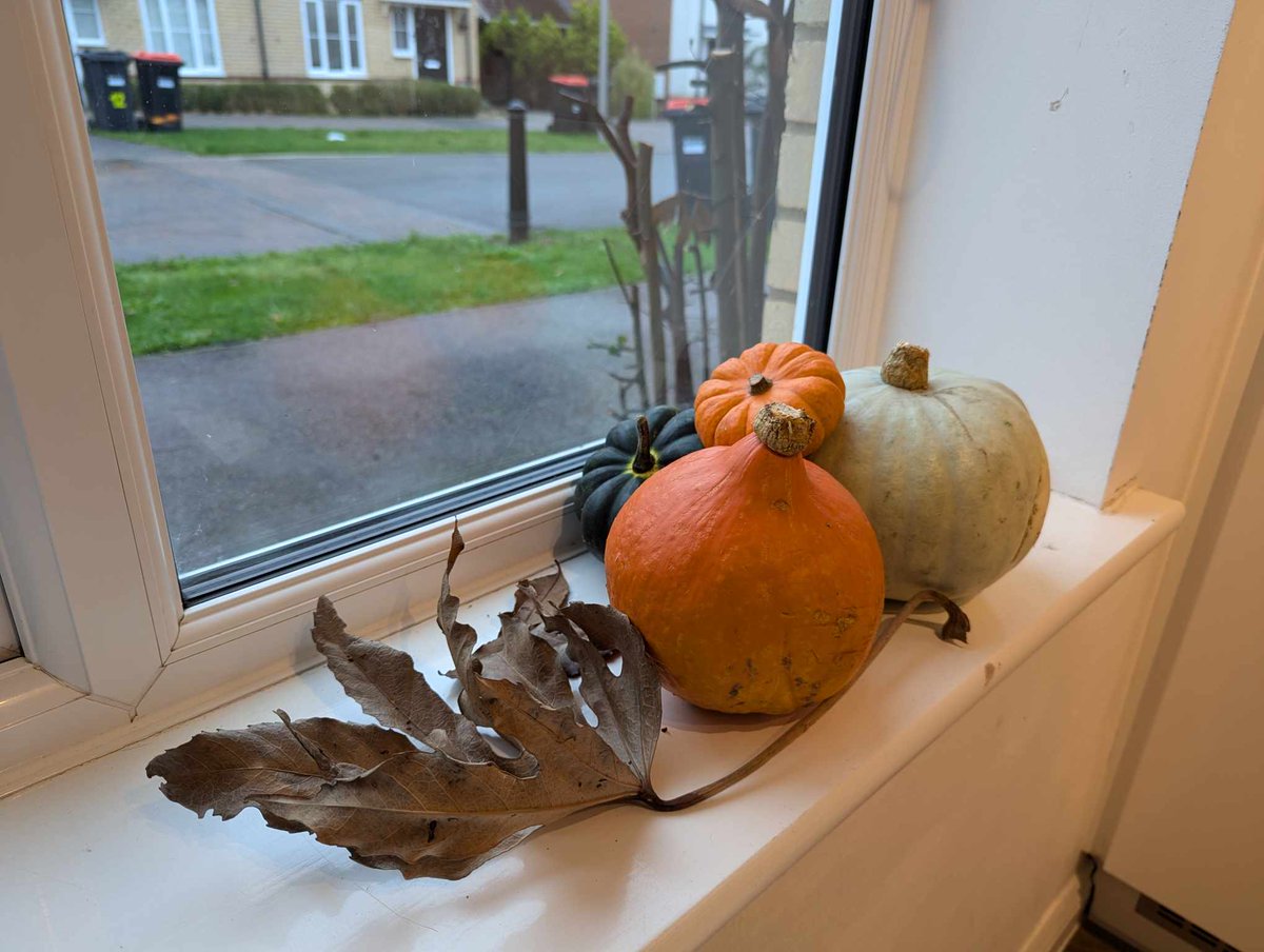 Molly's Pantry tweet media