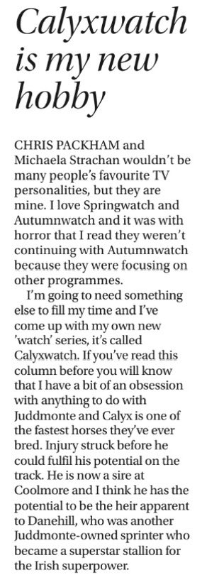 BuckleyKevin's tweet image. CALYX @coolmorestud 

“Calyxwatch is my new hobby”
Tom Segal 

📸@RacingPost Weekender