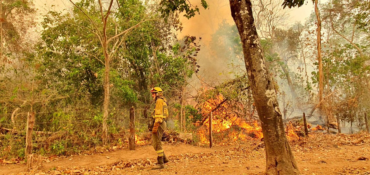 Trabajo nada fácil el que están realizando los compañeros que partieron a #Bolivia. Temperaturas muy altas, mucho humo y muy denso, combustible espeso y que además origina mucho paveseo. Desde aquí les enviamos mucho ánimo, y también a la población del lugar. 
#LaBrifConBolivia