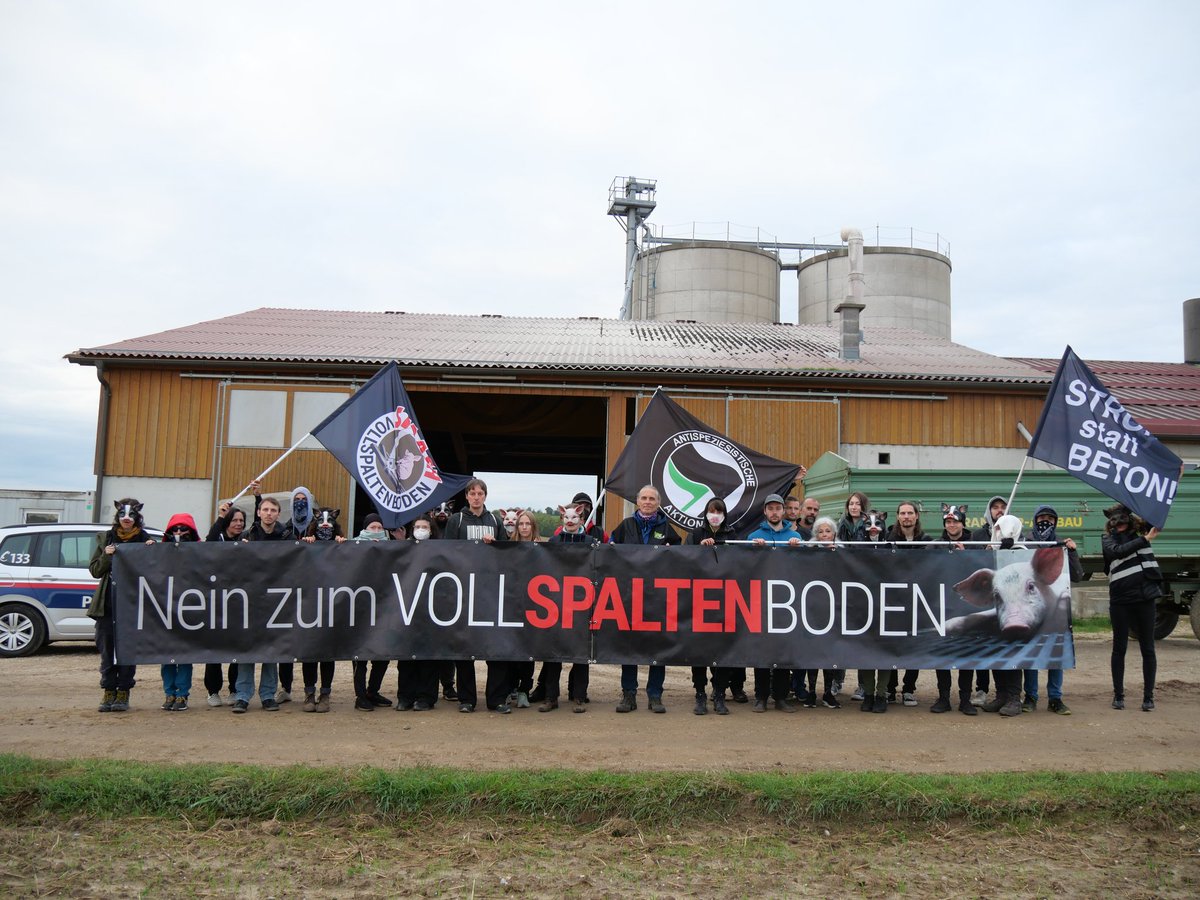 🐷  Momentan harren die Tierschützer:innen in der Schweinemast aus und warten darauf, dass der Amtstierarzt kommt und den Betrieb kontrolliert. Draußen hat sich eine spontane Kundgebung des VGT gegen den Vollspaltenboden gebildet. ✊

‼️ SCHWEINE BRAUCHEN STROH! Unterschreibe