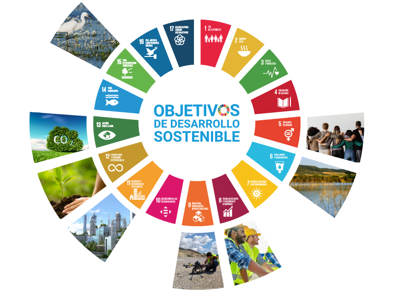 mineriayvida's tweet photo. 🌱 En la #FMYV nos unimos hoy al aniversario de los #ODS. Las empresas mineras continúan integrando la #sostenibilidad en sus procesos, minimizando el impacto ambiental y restaurando ecosistemas. Orgullosos de formar parte de un sector que está siendo un motor de cambio positivo. https://t.co/TVzXi517SD