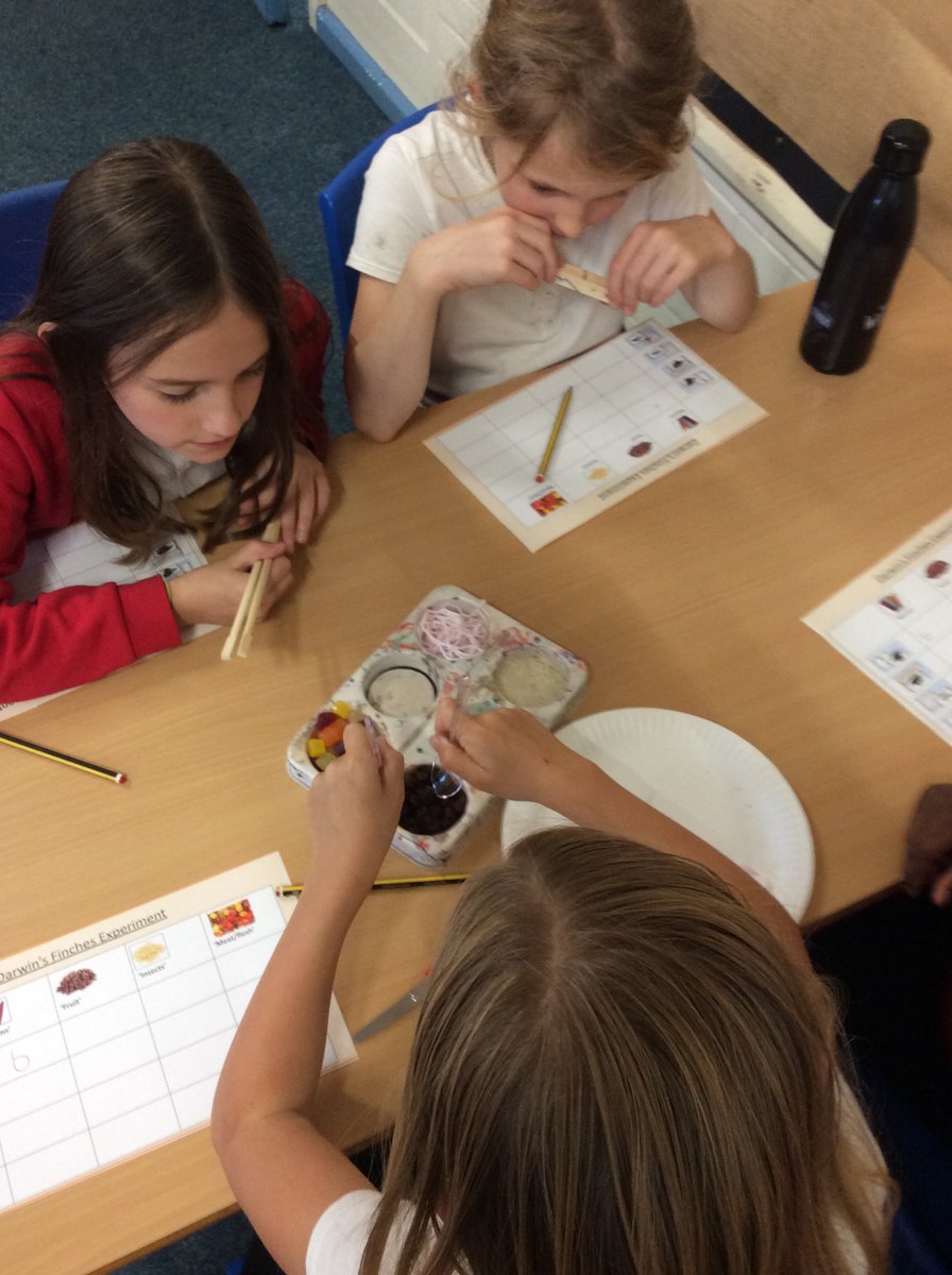 Mr Branchette (@mr_branchette) on Twitter photo Micklegate <a href="/HaxbyRoad/">Haxby Road Academy</a> have been investigating natural selection and adaptation by using different bird 'beaks' to attempt to pick up various foods. A fiddly but fun way to learn about evolution! Next week, we really need a lesson on how to use chopsticks correctly! Micklegate <a href="/HaxbyRoad/">Haxby Road Academy</a> have been investigating natural selection and adaptation by using different bird 'beaks' to attempt to pick up various foods. A fiddly but fun way to learn about evolution! Next week, we really need a lesson on how to use chopsticks correctly!