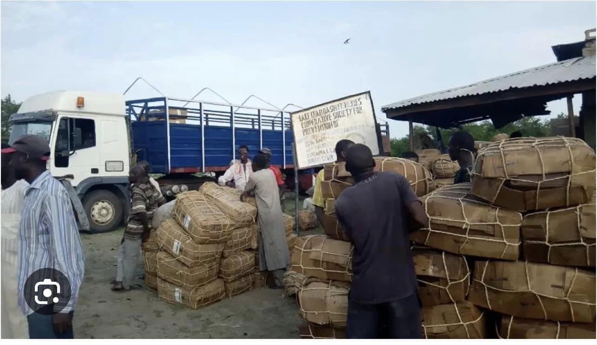 abbkar_ai's tweet photo. The Return of the Biggest Fish Market  in Africa, Baga Fish Market…

This is Baga fish market Maiduguri, Borno state, Nigeria.
It is the biggest Fish market in Nigeria. Baga Fish market was known for dried fish from natural water and it attract traders within and outside the
1/4 https://t.co/tSURWEmIrK