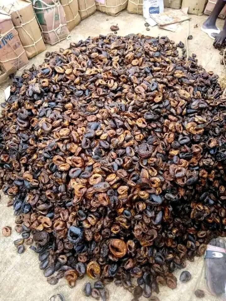 abbkar_ai's tweet photo. The Return of the Biggest Fish Market  in Africa, Baga Fish Market…

This is Baga fish market Maiduguri, Borno state, Nigeria.
It is the biggest Fish market in Nigeria. Baga Fish market was known for dried fish from natural water and it attract traders within and outside the
1/4 https://t.co/tSURWEmIrK