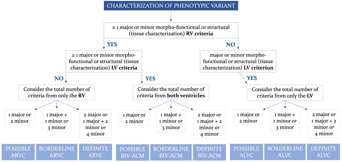 SusieSu11733465's tweet photo. #RCM Review🌸

"The 2023 European Task Force Criteria for #Diagnosis of #Arrhythmogenic #Cardiomyopathy: Historical Background and Review of Main Changes" by @AlessandroZor14 et al.

#ACM #CMR 

💌Full Text:
https://t.co/SmLf3kmuyb https://t.co/6Fr8J0G1Dw
