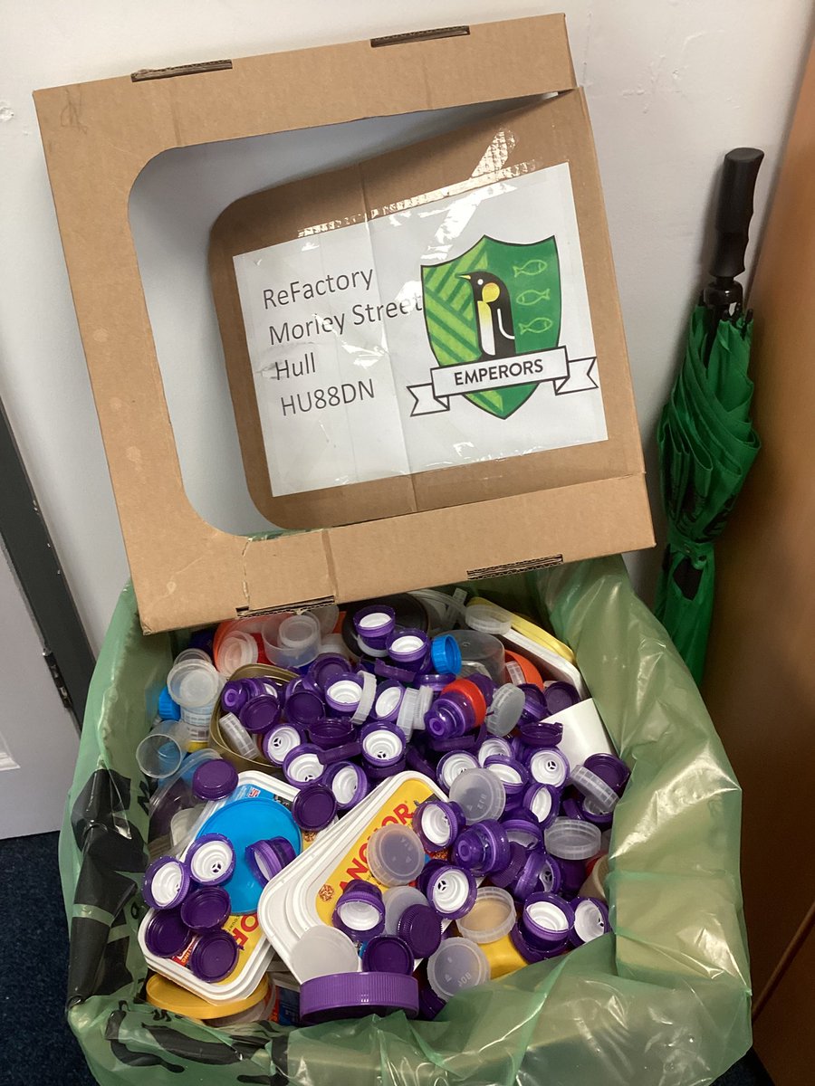 Penshurst Primary tweet media