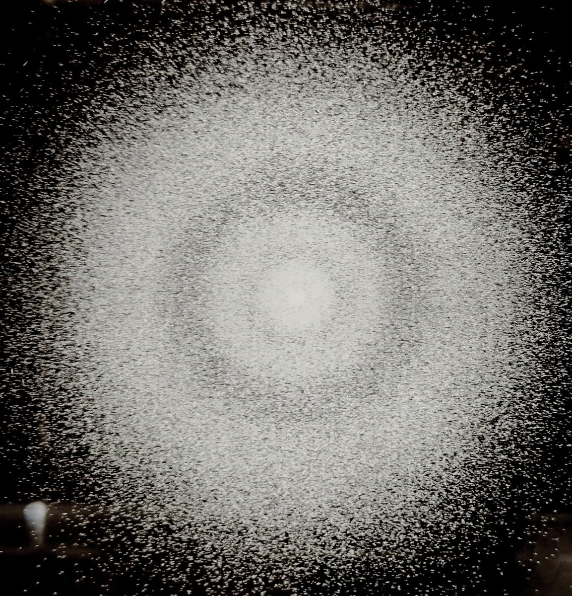 JavierGarciaMartinez tweet media