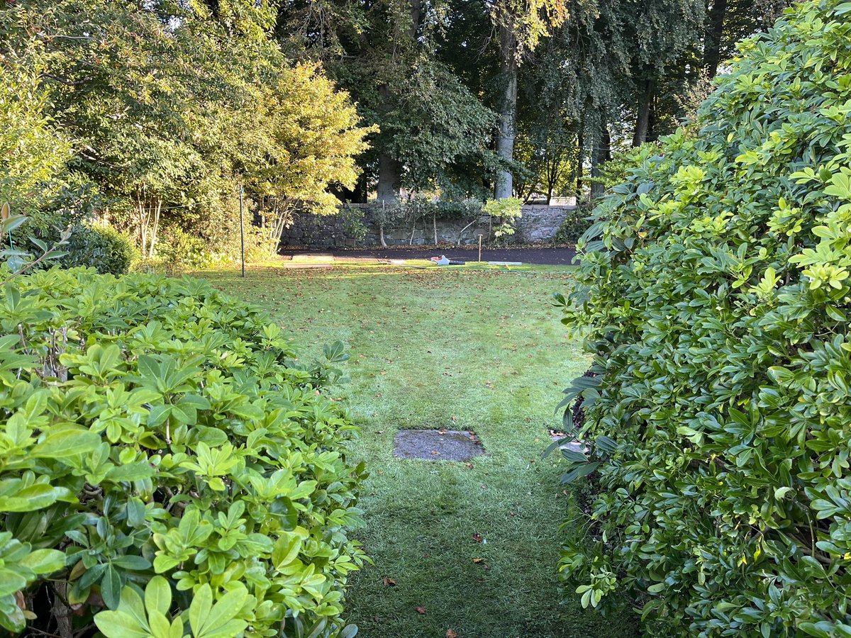 A Dunlop Landscapes 🌳⚒️🧱 tweet media