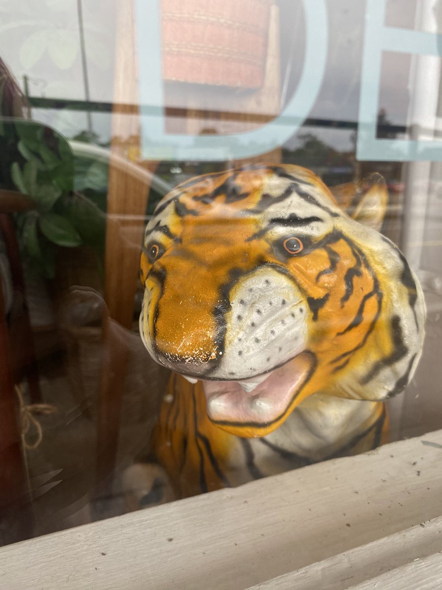 beefrix :3 tweet media