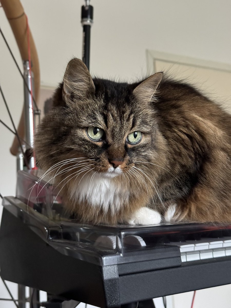 matteo grilli tweet media