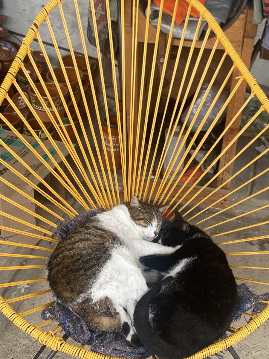 Acteopan, Puebla. 
Lugar de Alfareros. 
#Barrosinplomo #ChefEmbajadora #momentosaura 👩🏻‍🍳🇲🇽🥰