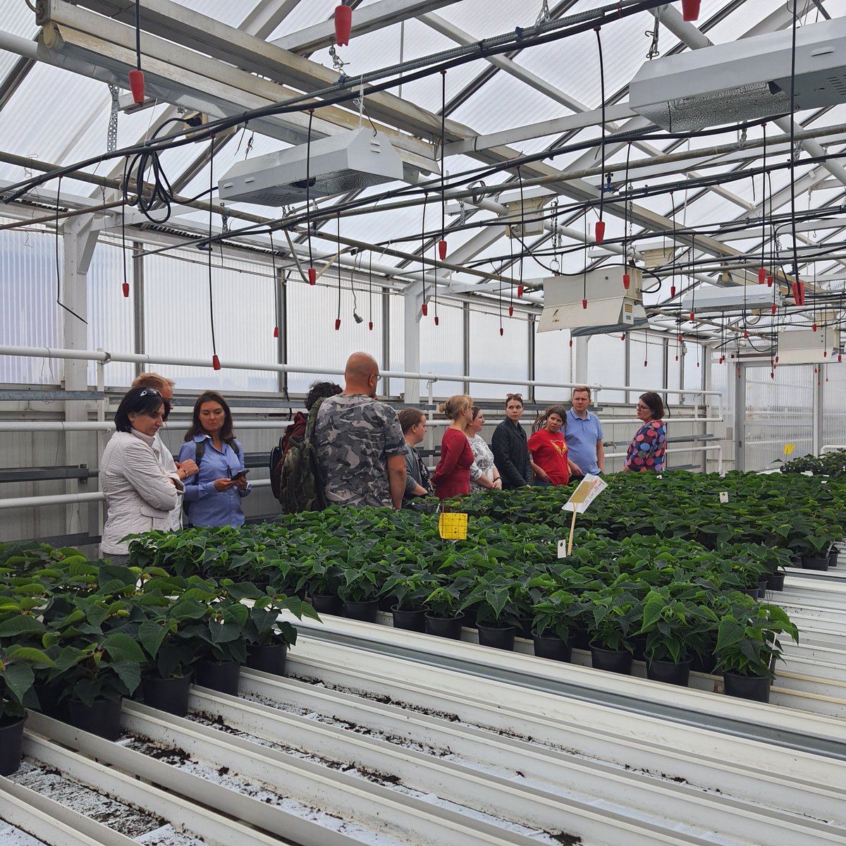 solution4farm's tweet photo. From September 10-12, 2024, Kajaani, Finland, hosted the Final F2F Consortium Meeting for the #Solution4Farming project, alongside a Joint Capitalisation Event with the #SustainableNutrients project! It was an inspiring event focused on innovation and sustainability in farming. https://t.co/S8Ak4XhGGS