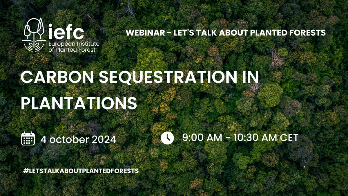 🔔 There is still time to register for our upcoming webinar next week!🌳

🗓️4 October 2024⏰9:00 am CET

📢 Registration 👉 plantedforests.org/webinar-lets-t…

<a href="/europeanforest/">European Forest Institute (EFI)</a>  <a href="/IUFRO/">IUFRO</a>