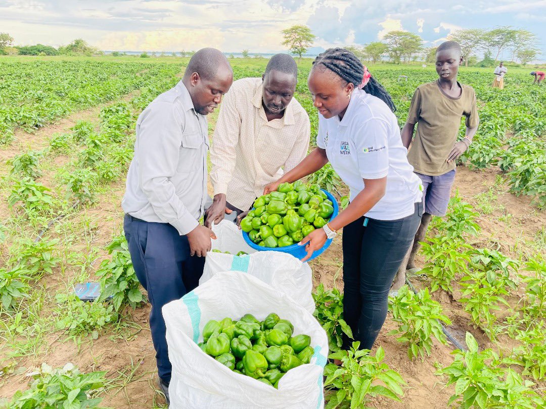 min_waterUg's tweet photo. #MWEworks: The Agule Solar Powered Irrigation Scheme in Toroma Sub-County, Katakwi District implemented by @min_waterUg through Water for Production Regional Centre - East was funded by @UKEF and @GovUganda. https://t.co/Xd6CUVyWph