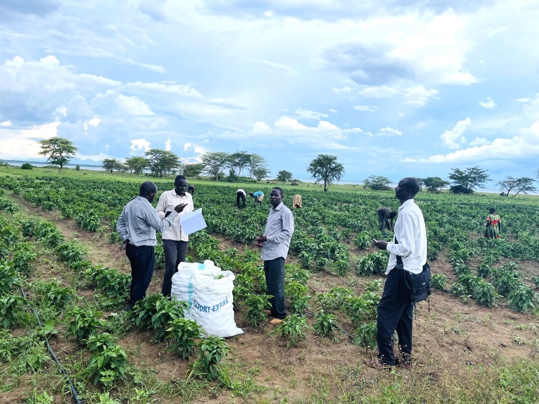min_waterUg's tweet photo. #MWEworks: The Agule Solar Powered Irrigation Scheme in Toroma Sub-County, Katakwi District implemented by @min_waterUg through Water for Production Regional Centre - East was funded by @UKEF and @GovUganda. https://t.co/Xd6CUVyWph