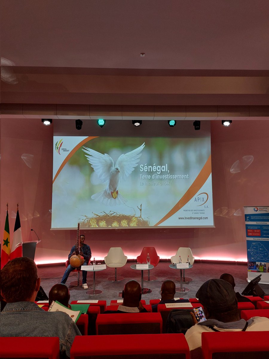 Forum InvestInSenegal <a href="/businessfrance/">Business France</a> #FDI #InvestInAfrica