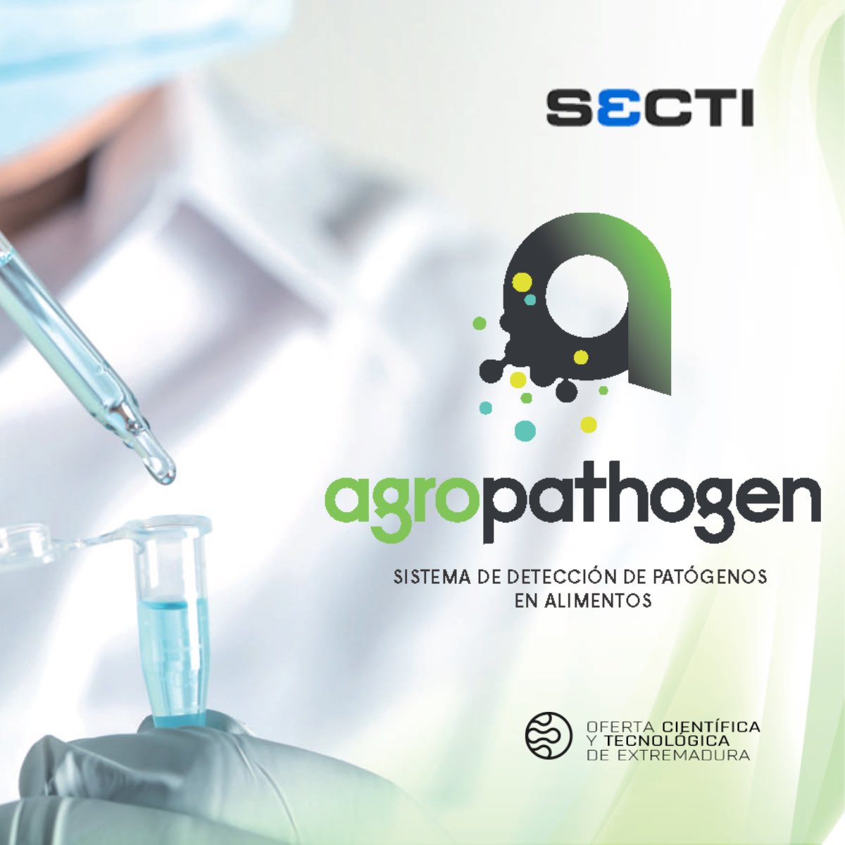 FundecytPCTEX's tweet image. Tecnología PCR para detectar bacterias en alimentos en menos de 24 horas. ✅Ideal para la industria del tomate y otros productos. ✅Rápido, fiable y adaptable a cada empresa.
info: …nsferencia.oficinaparalainnovacion.es/oferta_cyt/agr…
#Innovación #SECTI #CTAEX #Alimentos #PCR #Extremadura