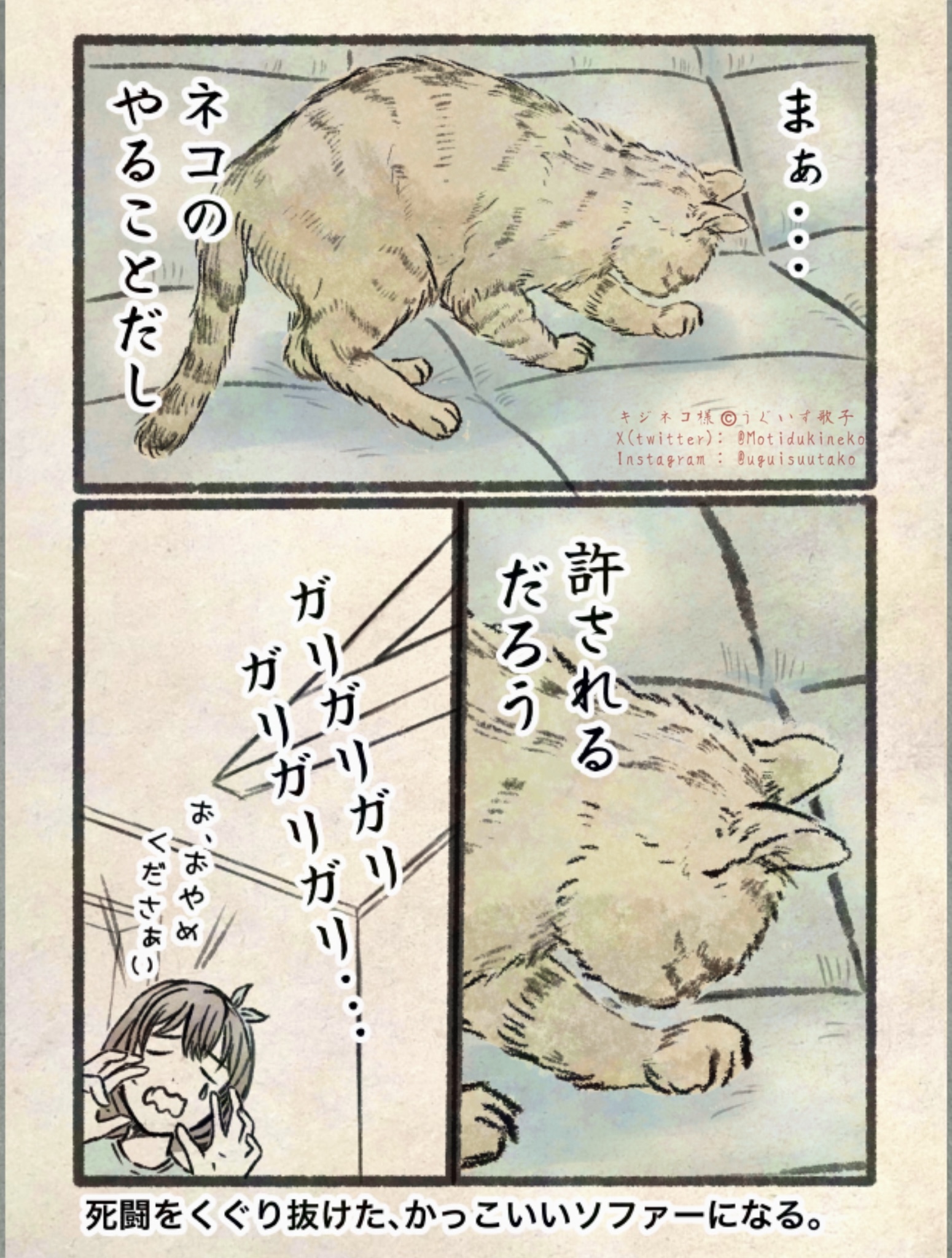 キジネコ様 on X: 