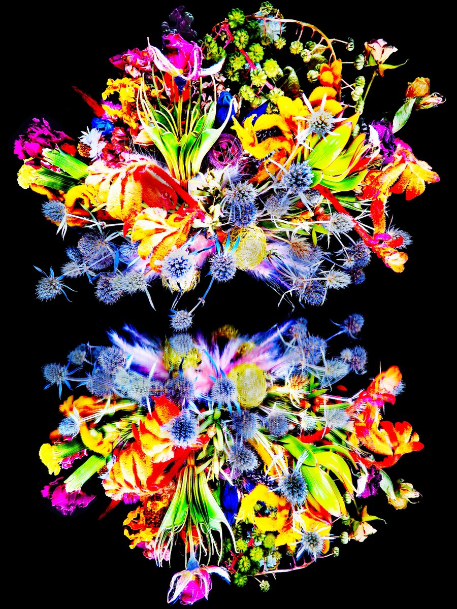 Good Morning🥪🌷🥀