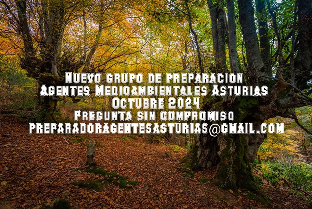 AForpe's tweet photo. https://t.co/uOa37YuYWH