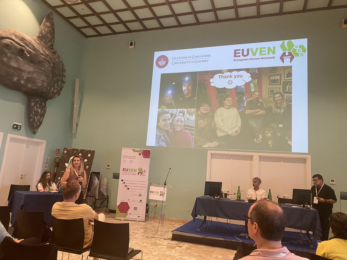 EUVEN COST Action (@euvenaction) on Twitter photo <a href="/RachelHClare/">Rachel Hannah Clare</a> <a href="/ShirinAhmadi11/">Shirin Ahmadi</a> <a href="/CSRIatLSTM/">Centre for Snakebite Research & Interventions</a> <a href="/DTUtweet/">DTU</a> <a href="/bvrenozi/">Blerina Vrenozi</a> presents now her work carried out at the <a href="/Michel_Dugon/">Michel Dugon</a> lab on widow spiders and their venom toxicity 🕷️ <a href="/RachelHClare/">Rachel Hannah Clare</a> <a href="/ShirinAhmadi11/">Shirin Ahmadi</a> <a href="/CSRIatLSTM/">Centre for Snakebite Research & Interventions</a> <a href="/DTUtweet/">DTU</a> <a href="/bvrenozi/">Blerina Vrenozi</a> presents now her work carried out at the <a href="/Michel_Dugon/">Michel Dugon</a> lab on widow spiders and their venom toxicity 🕷️
