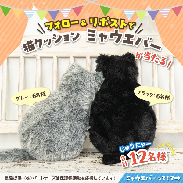 ちょと (@chotocha) / Posts / X