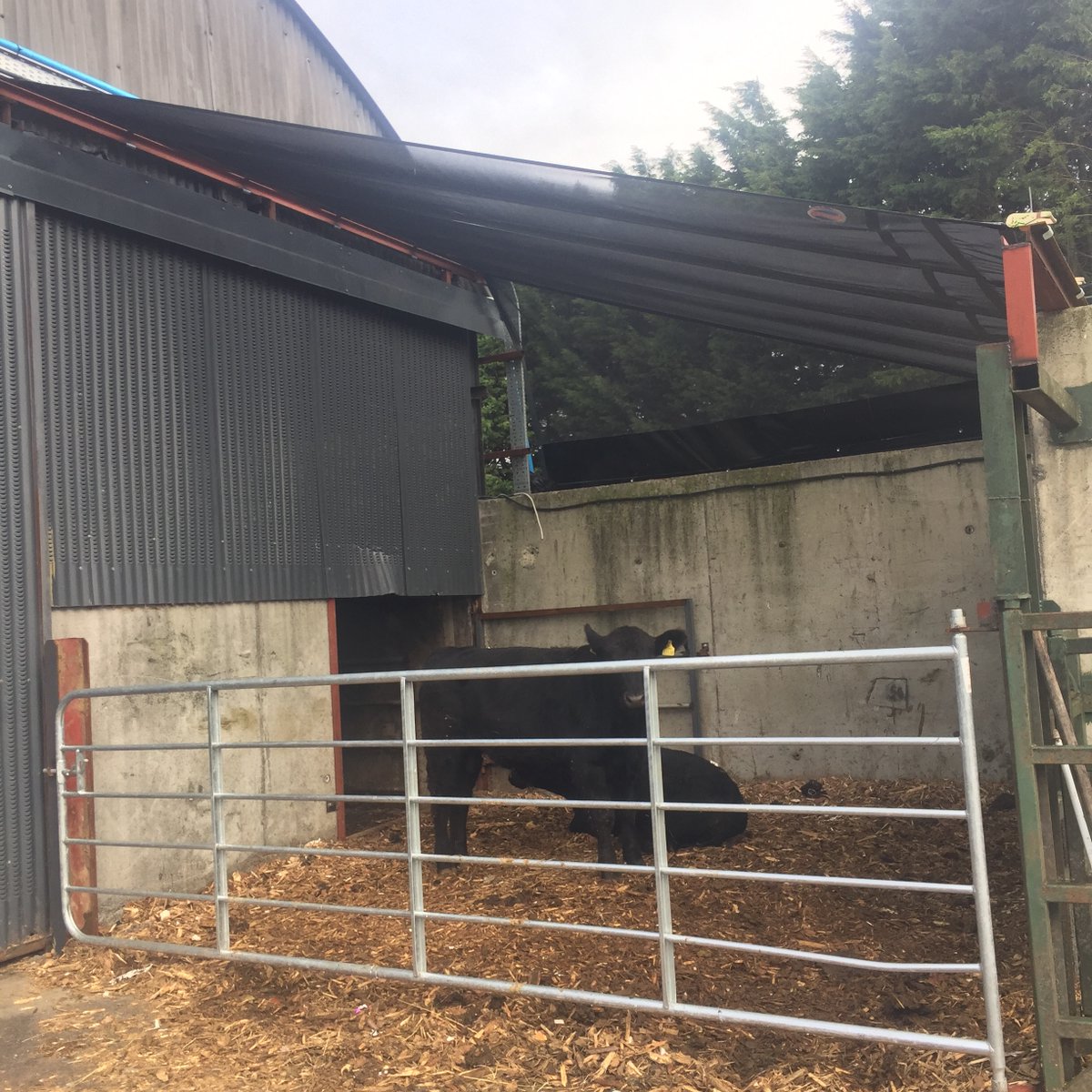 ClonmelCovers's tweet photo. This windbreaker was made to fit over a small yard rather than on the front of a shed , but because it was made to measure  and was well tensioned , the majority of the rain just ran off it .  #Windbreaker #CustomMade #IrishMade https://t.co/5JtejbfMoy