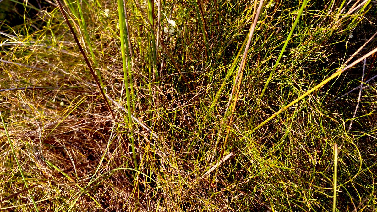 The PEAT project tweet media