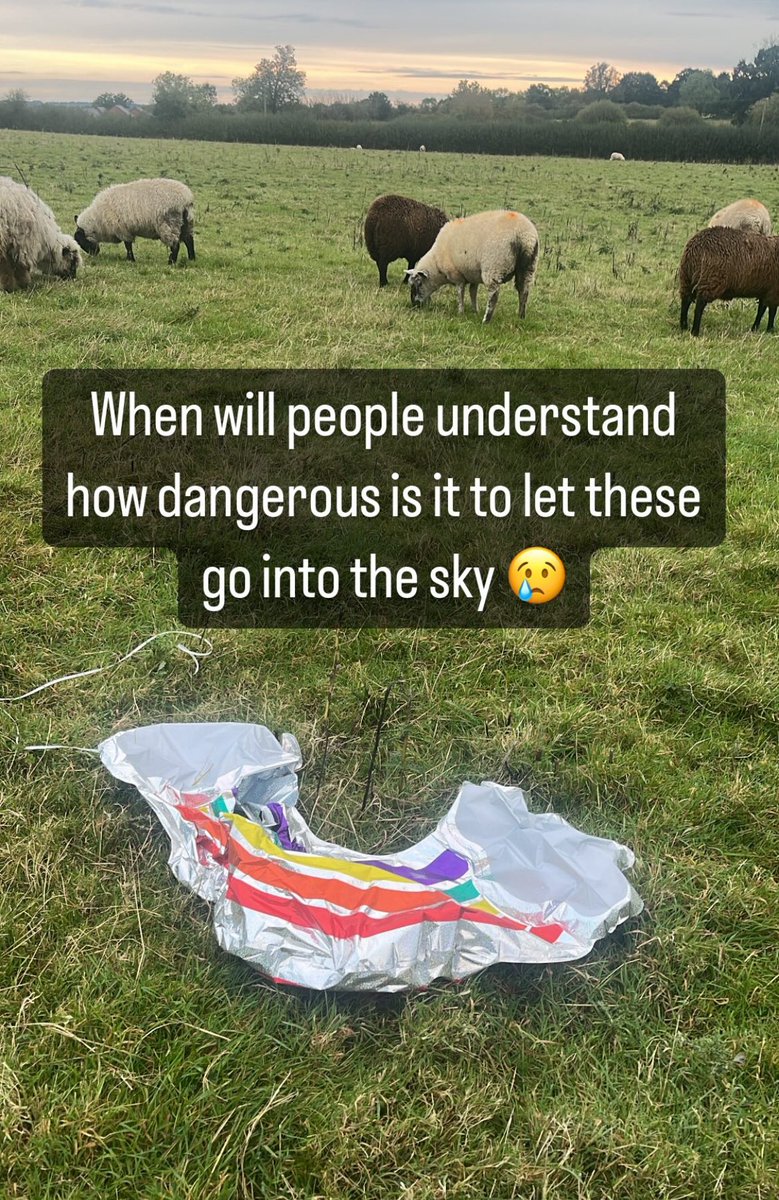 ❌ Please avoid using these. 

They might look good, but could very easily cause the death of an animal.