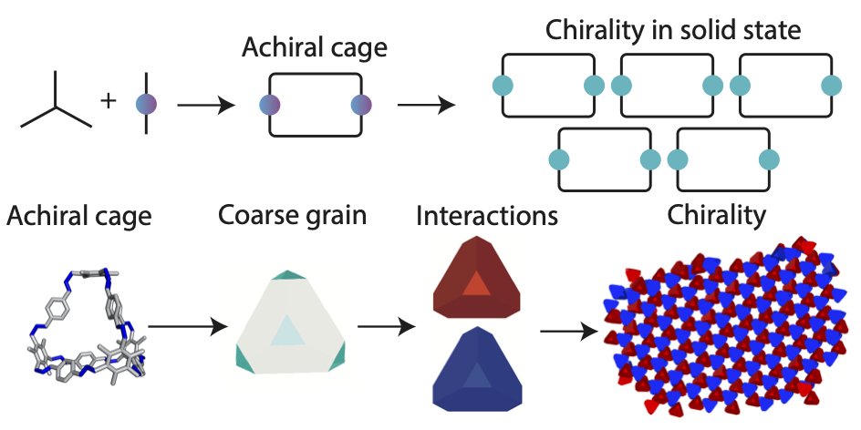 Interested in chirality in the solid state? Check out our  (<a href="/JelfsChem/">Kim Jelfs</a>) recent work in <a href="/ChemicalScience/">Chemical Science</a>! Here we use coarse-grained modelling to show how supramolecular interactions can drive chirality, offering a new approach to design chirality in cages. tinyurl.com/4t235j2a
