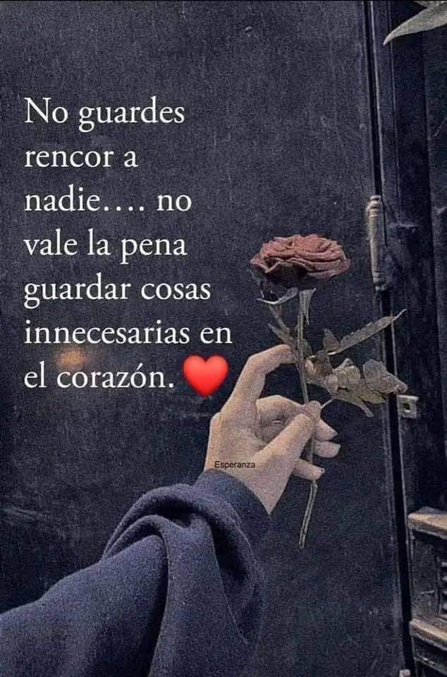 VidaEquilibrada (@vidaequilibrad4) on Twitter photo 