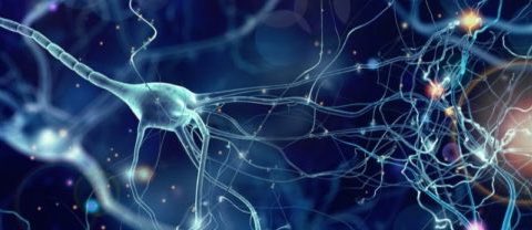 Una terapia destruye ovillos de una proteína clave en alzhéimer

omniprex.com/una-terapia-de…