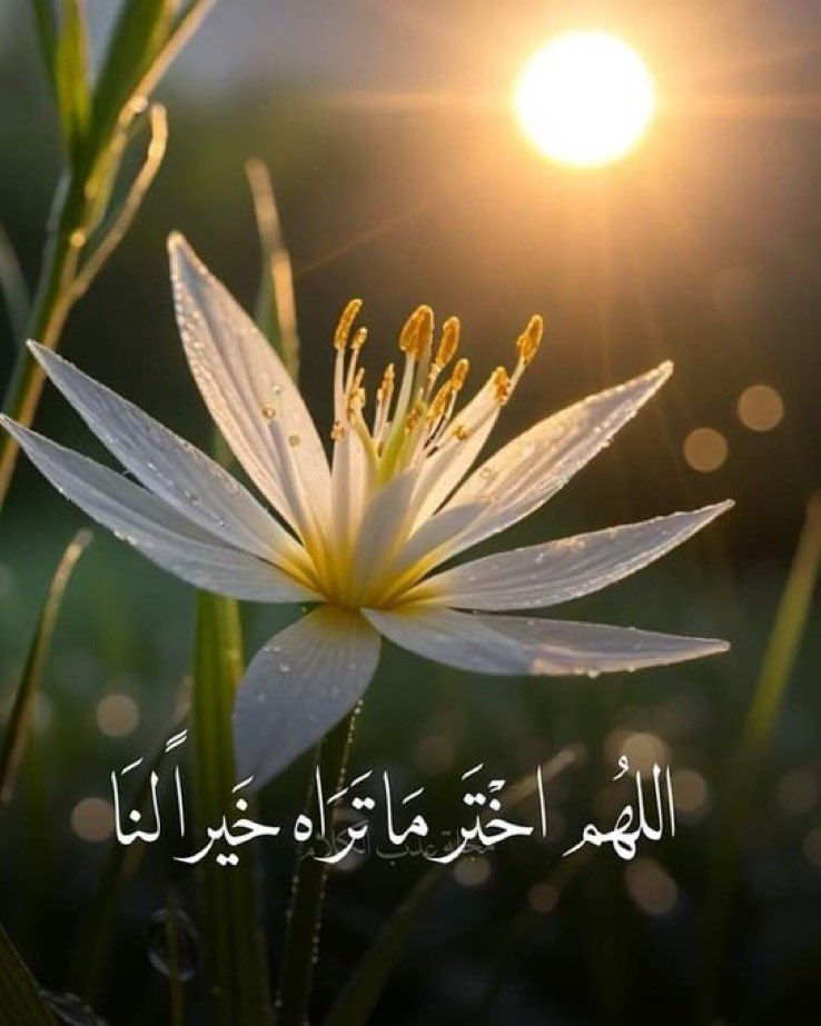 اللهّم جبر الخواطر ،
 وطمأنينة القلوب ، وانشراح الصّدور ، وراحة البال ، والحياة الطيّبه