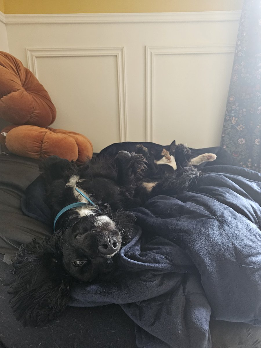 Kat Hart 🌍🏞 tweet media