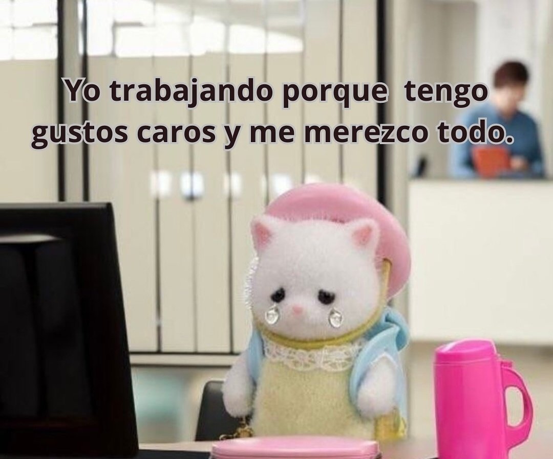 MiniAnimales's tweet photo. https://t.co/jIoYOQH1yf