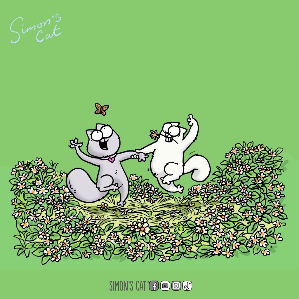 SimonsCatMeme's tweet photo. Millions and millions of people 😽

$CAT SZN IS READY FOR BIG OCTOBER 😼 https://t.co/OE9u9uItJ9