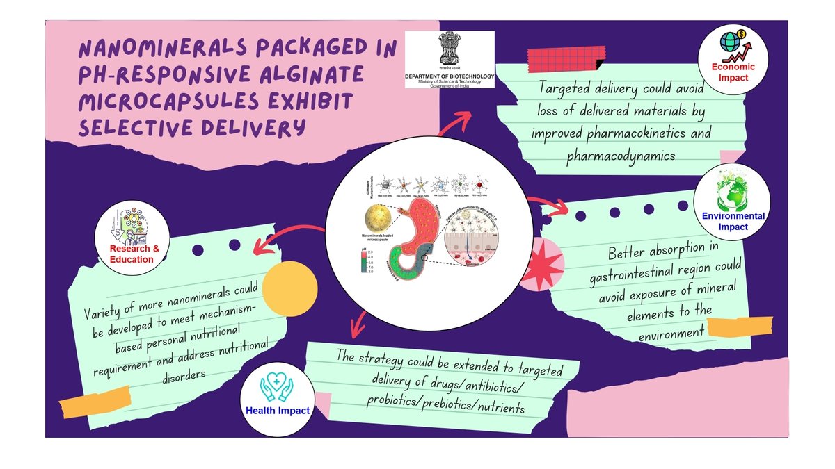 DBTIndia's tweet image. Exciting innovation from Dr. Sanjay Singh’s lab @HydNiab. New nanoparticle-based delivery system for micronutrients promises better absorption, fewer side effects, and sustainable use of resources. A big step towards #LivestockHealth
@DrJitendraSingh
@rajesh_gokhale