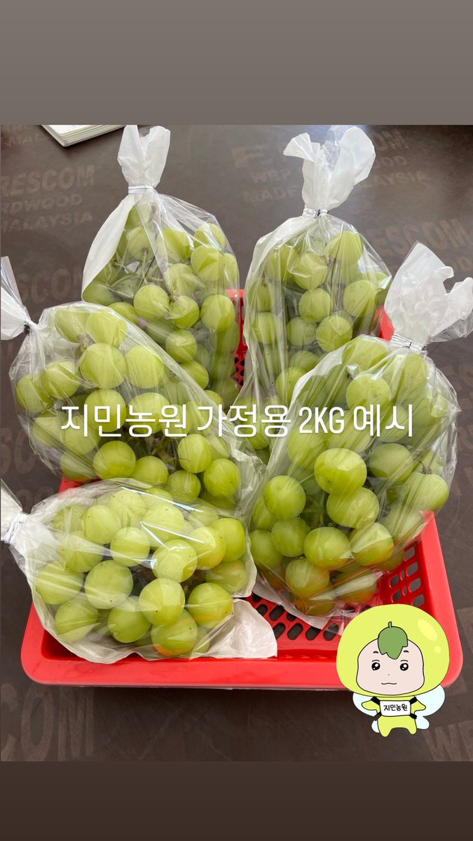 샤인머스켓 지민농원 tweet media