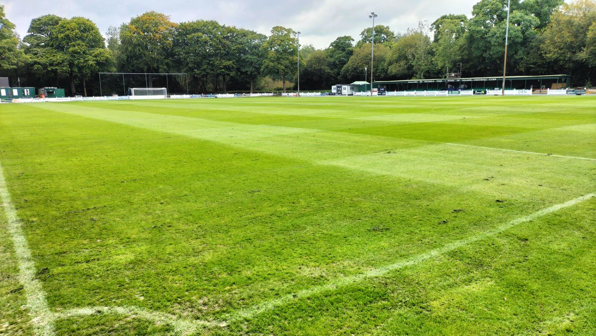 daniel stuttard tweet media