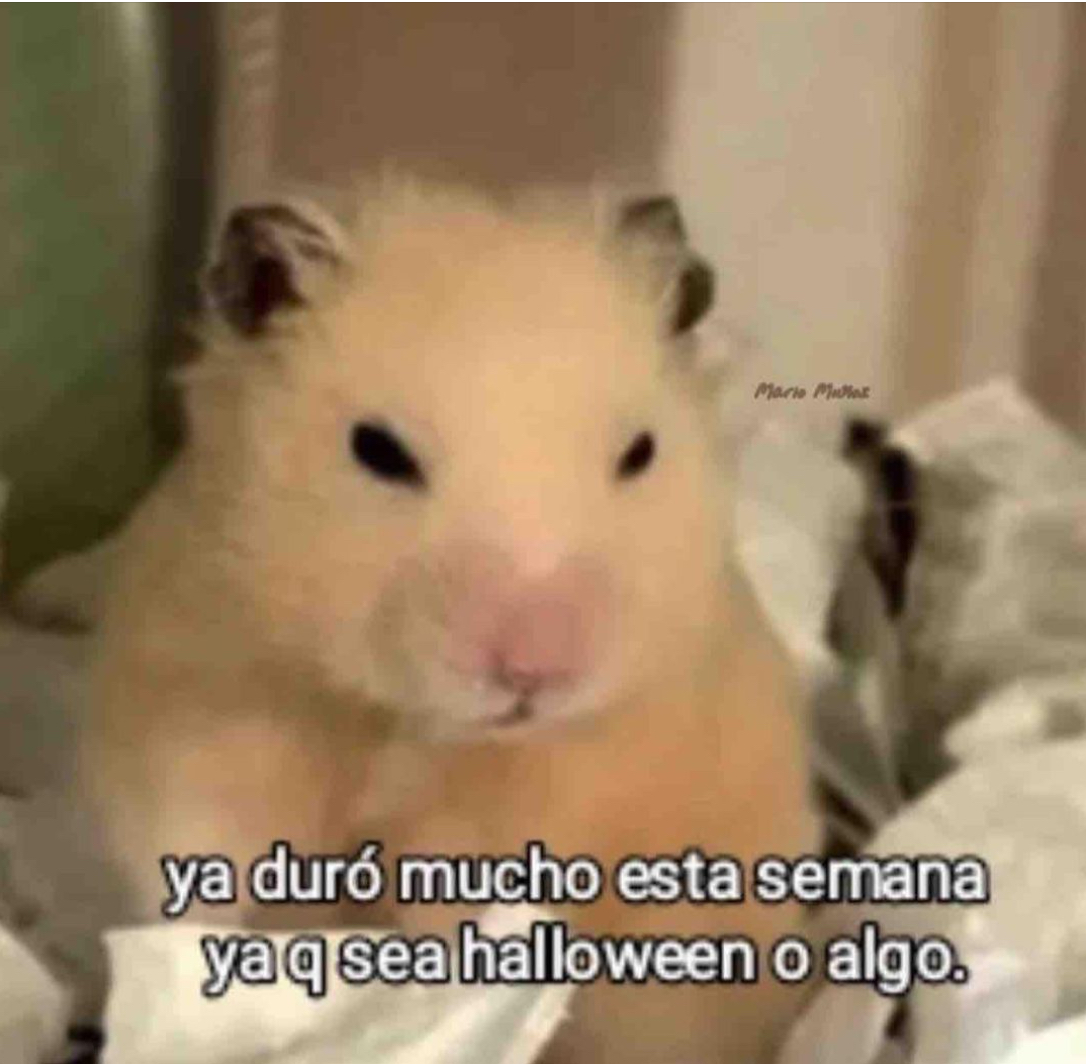 El Guarromántico tweet media