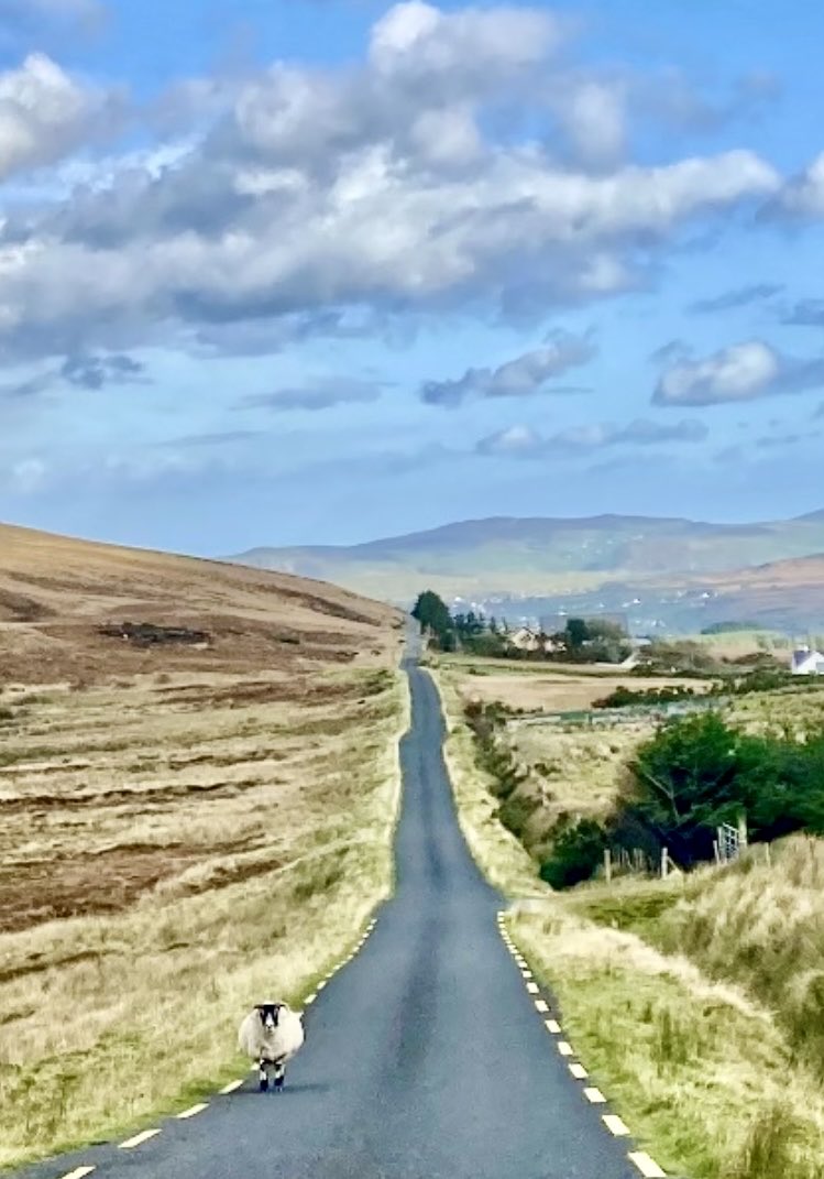 Twig & Heather tweet media