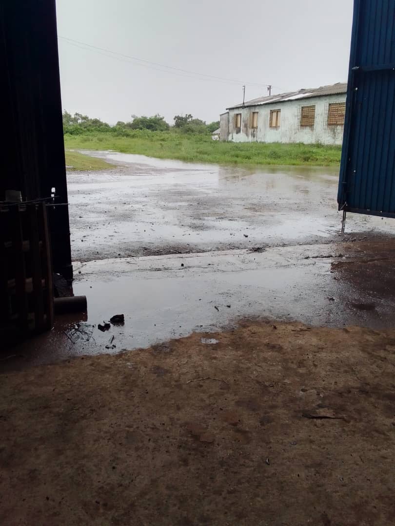 empresa_granos's tweet image. En los almacenes de la UEB Industrial La Francia se resguarda el arroz de semilla para asegurar la campaña venidera por las intensas lluvias ocasionadas tras el paso de la tormenta tropical #Hellen #ArrocerosPinareños