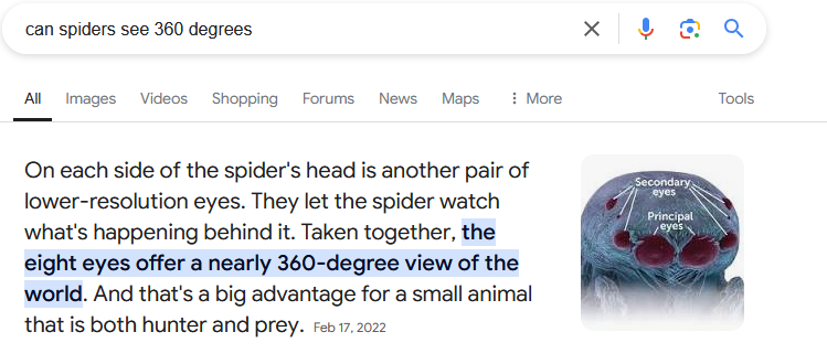 ThomJTK's tweet photo. @GameOverStation I always enjoy the on-the-spot DND questions that make my suddenly google search a thing. 
Context: a player Druid/Barbarian was wildshaped into a Giant Spider. Barbarians get advantage on Dex saves versus attacks that they can see; but the attack was coming from behind. 
Result: https://t.co/B3glKn1WAm
